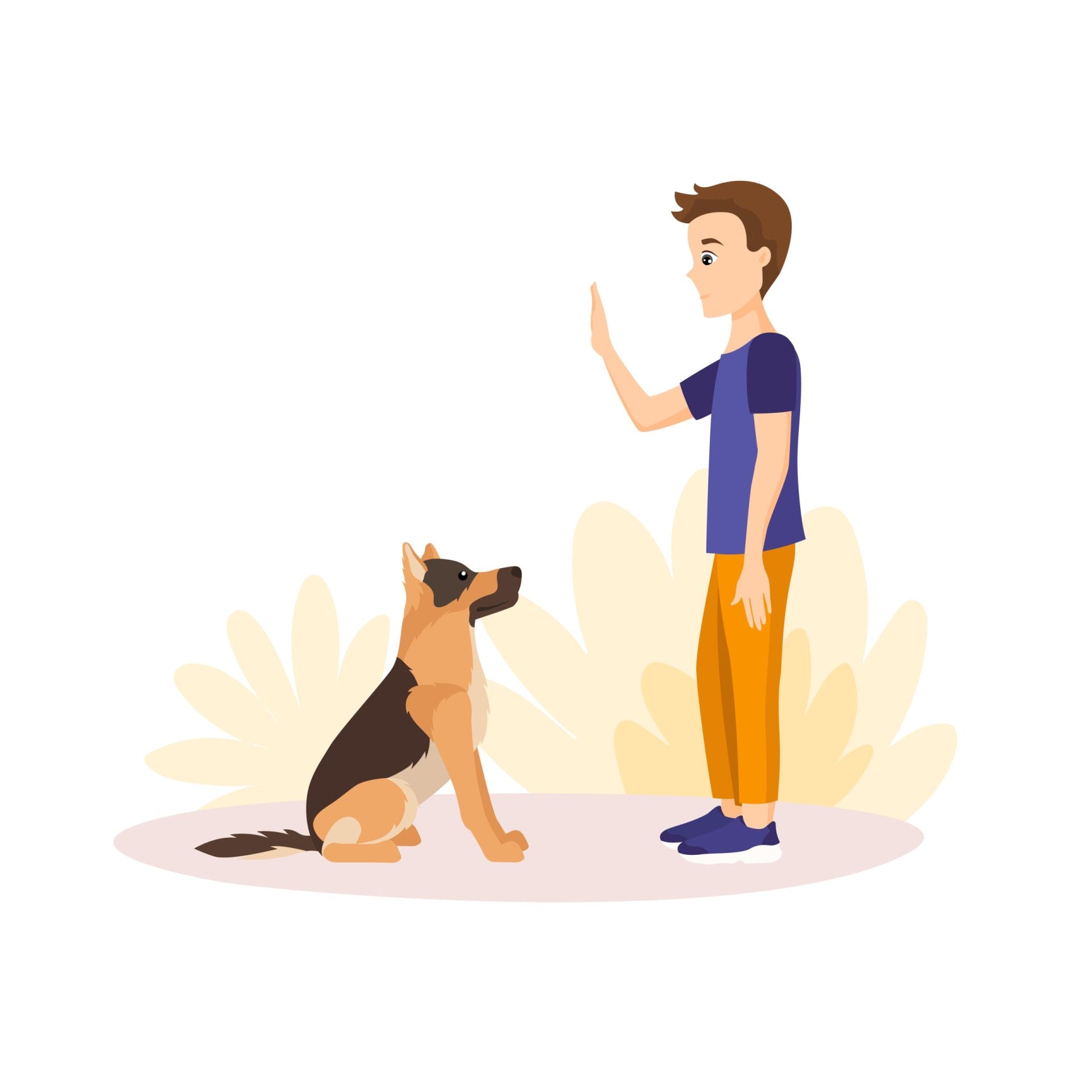 Dog obedience training at home