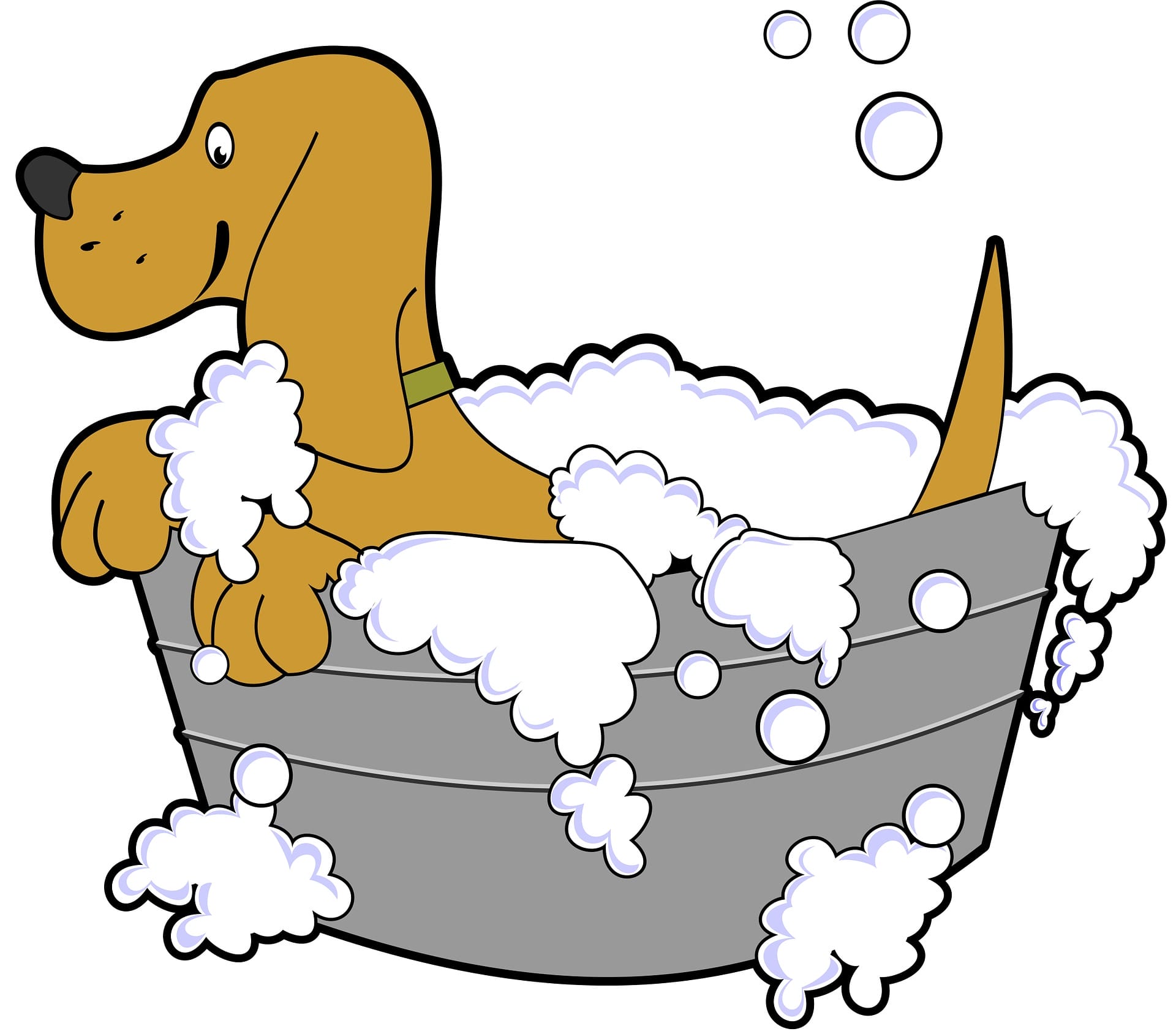 how to bathe your dog