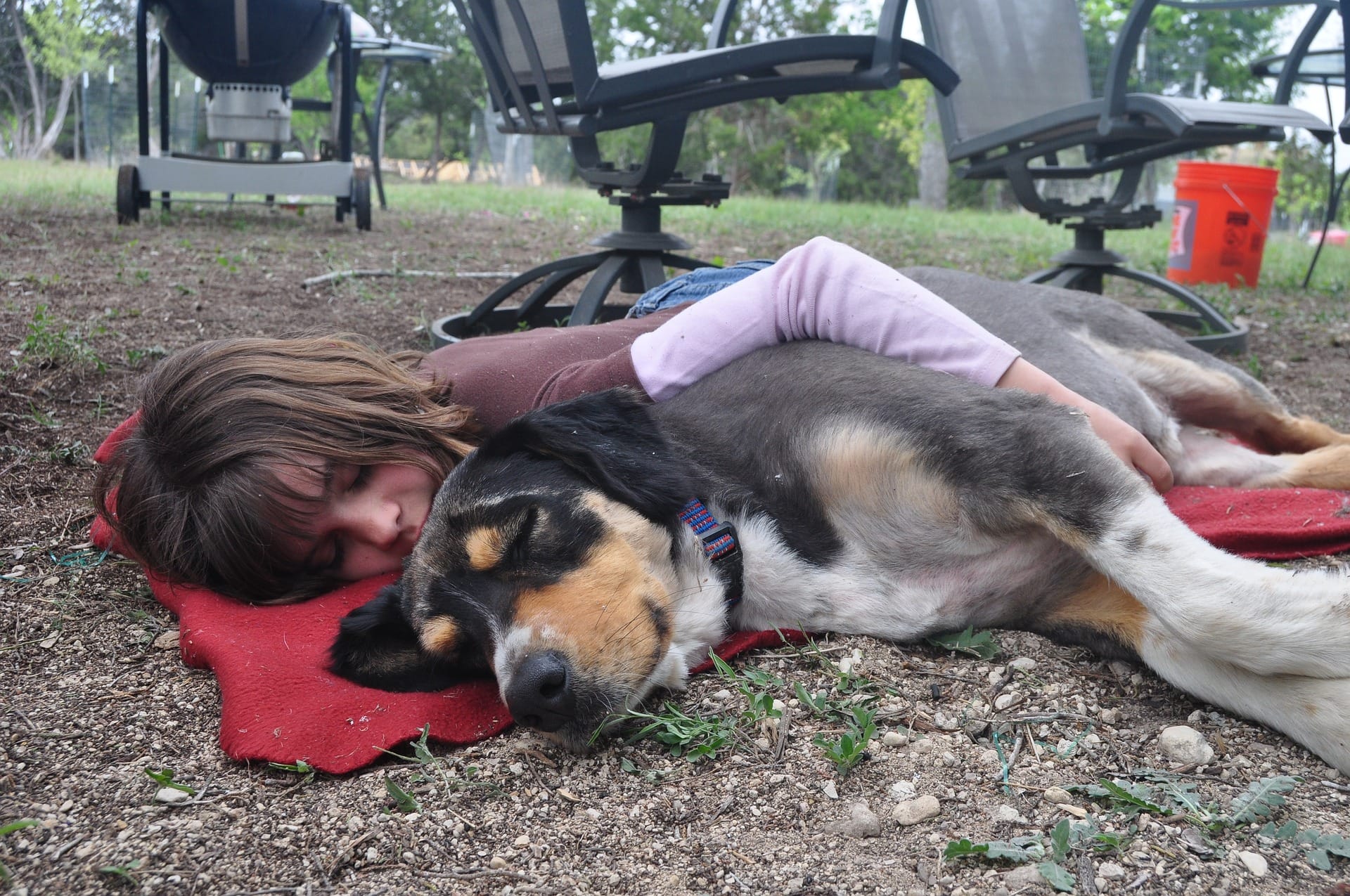 A baby girl sleeping with a pet dog