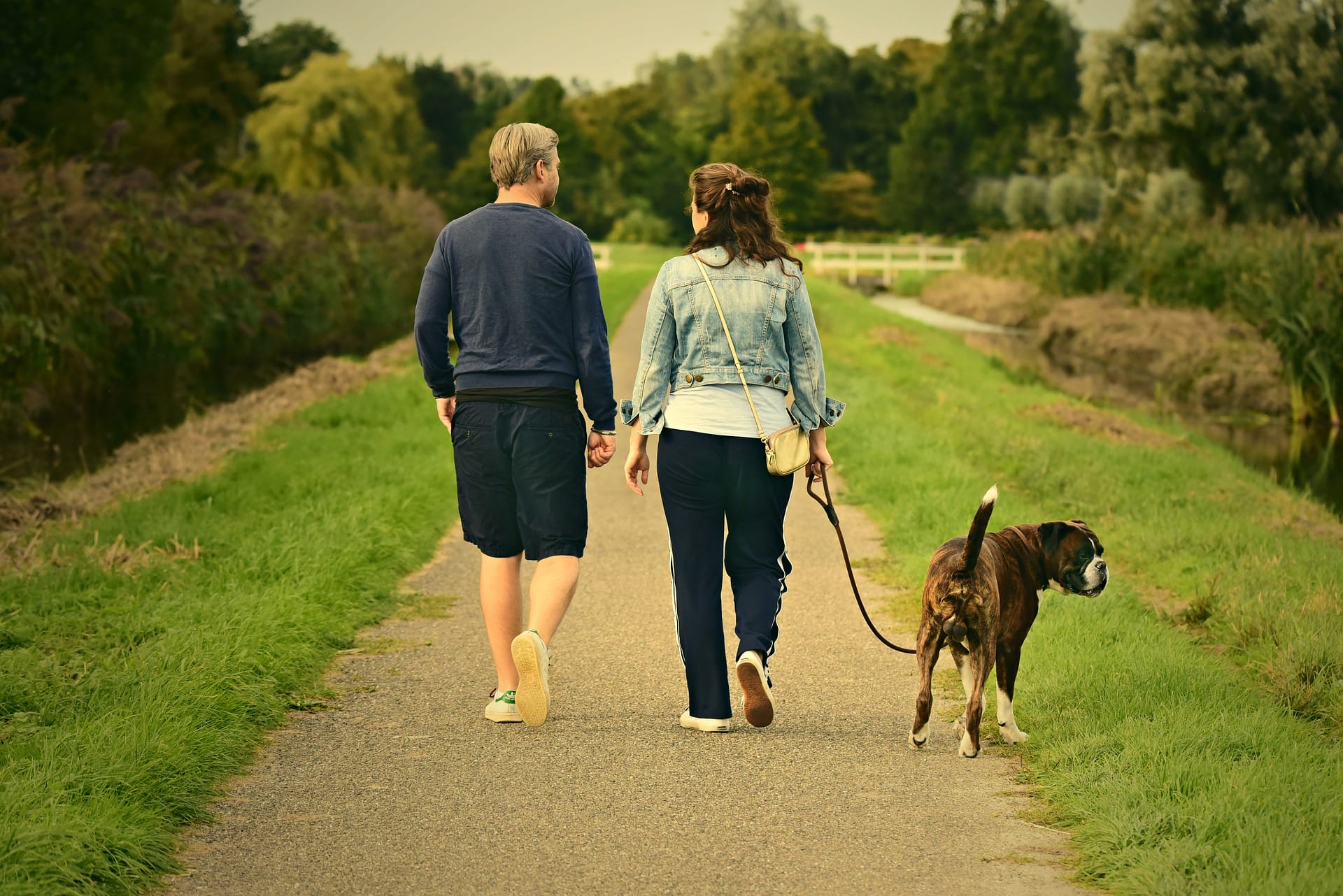 Walking with a dog