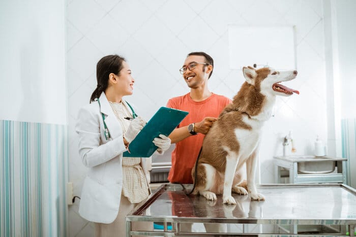 Regular vet visit to keep your dog healthy