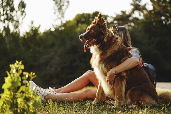 Walking out to keep your dog healthy and happy