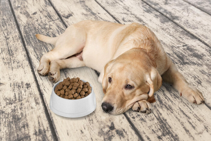 How to make freeze dried dog food