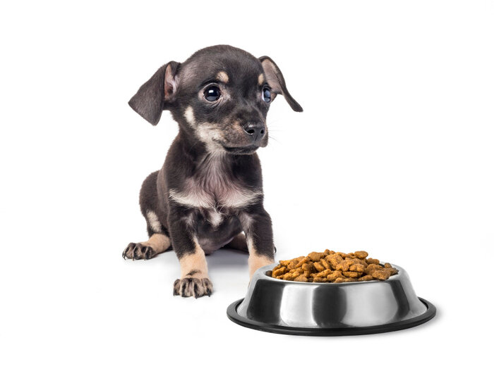 What is turkey meal in dog food?